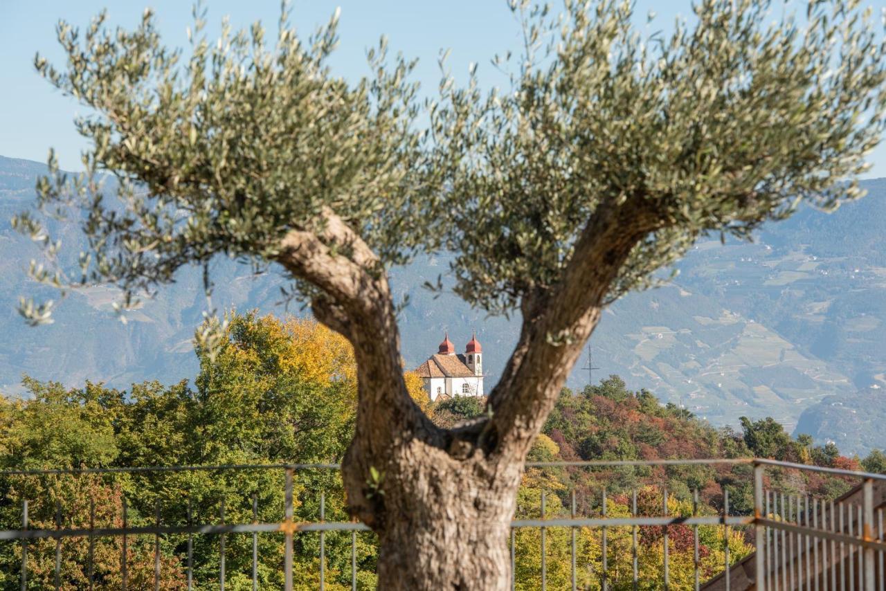 Nofnerhof Apartman Appiano Sulla Strada Del Vino Kültér fotó