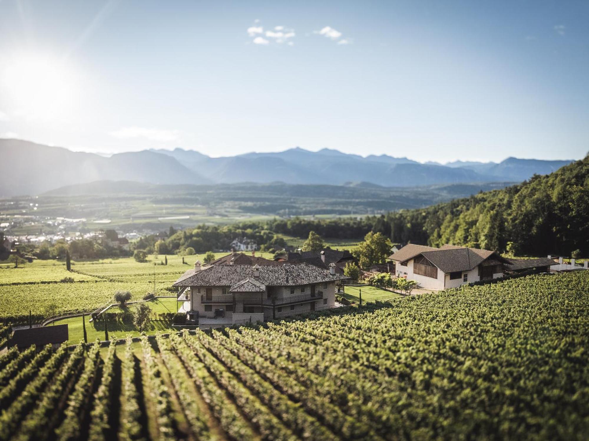 Nofnerhof Apartman Appiano Sulla Strada Del Vino Kültér fotó