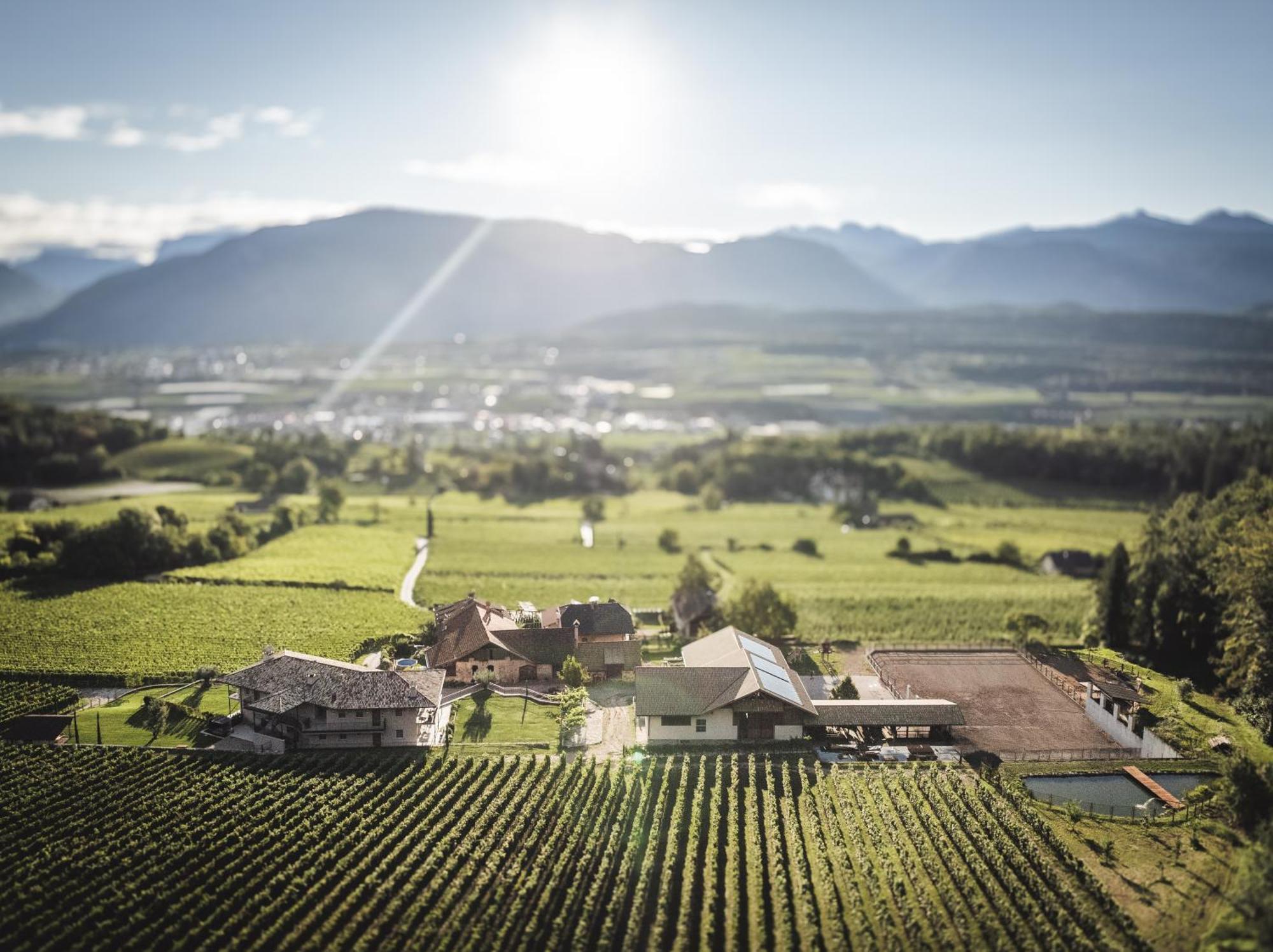 Nofnerhof Apartman Appiano Sulla Strada Del Vino Kültér fotó