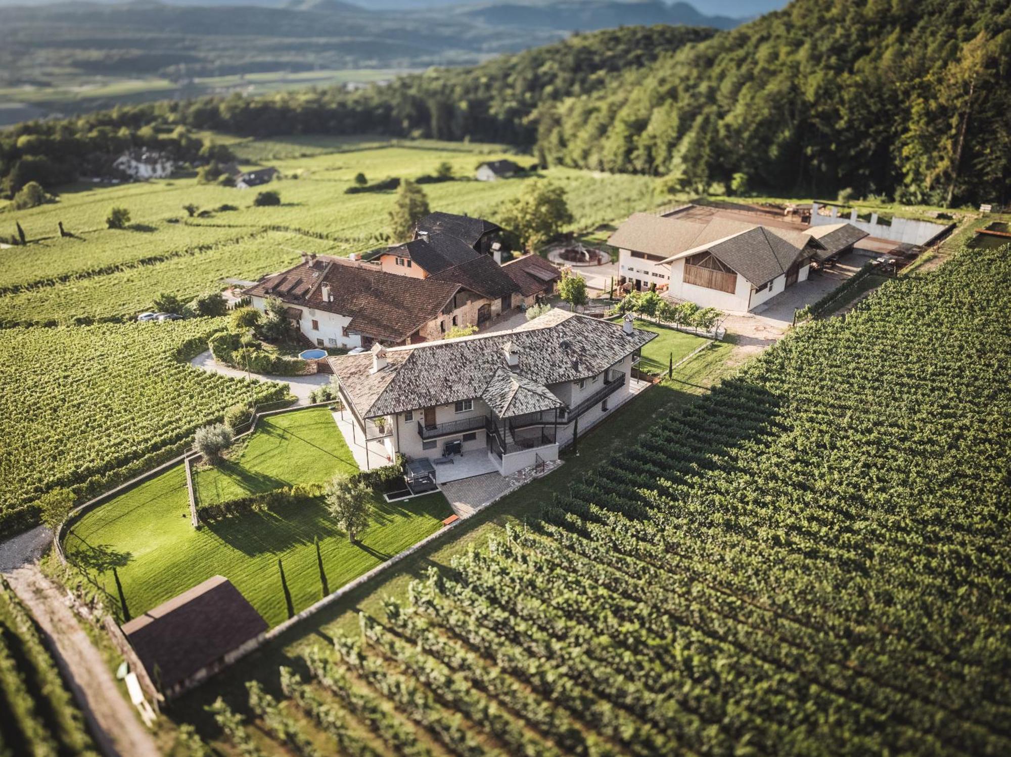Nofnerhof Apartman Appiano Sulla Strada Del Vino Kültér fotó